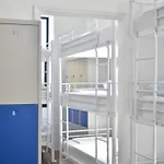 La Isleta Nest